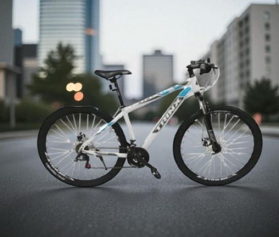 صورة دراجة حديد ترنكس رياضية مقاس 29 - أبيض